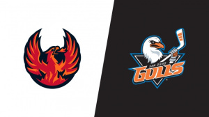Coachella Valley Firebirds vs San Diego Gulls